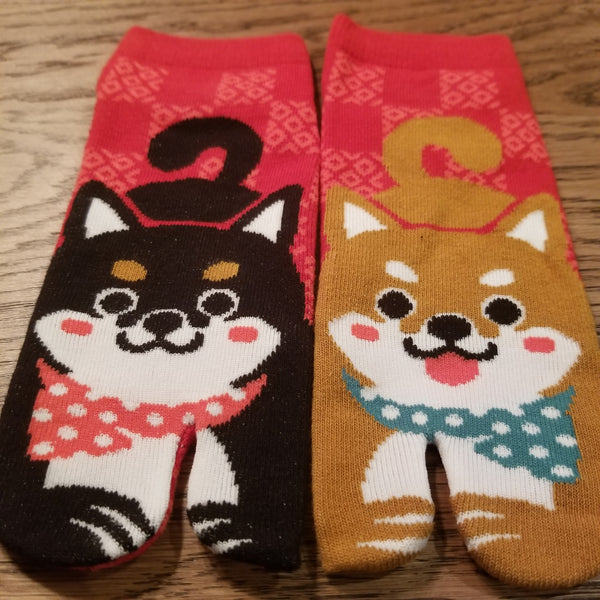 Fuji and the Sun Tabi Socks