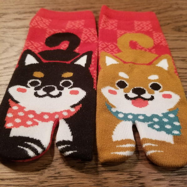Fuji and the Sun Tabi Socks